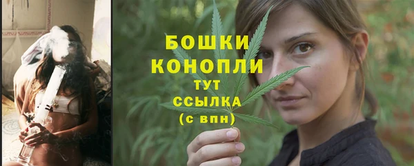 Альфа ПВП Богородск