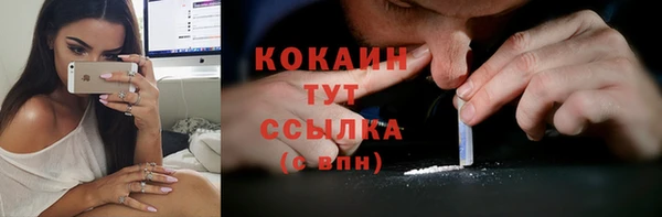 Альфа ПВП Богородск