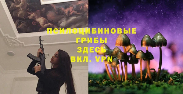 Альфа ПВП Богородск